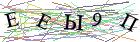 Введите текст с картинки